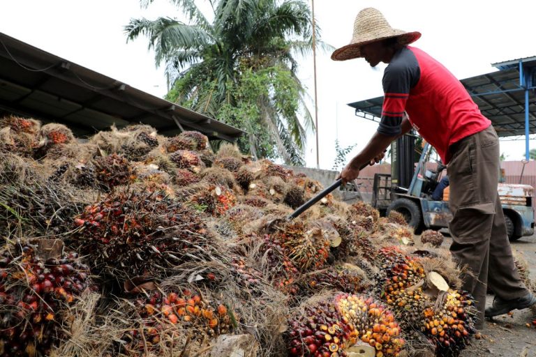 moderate-recovery-seen-for-malaysia-s-palm-oil-exports-in-2021-mpoc