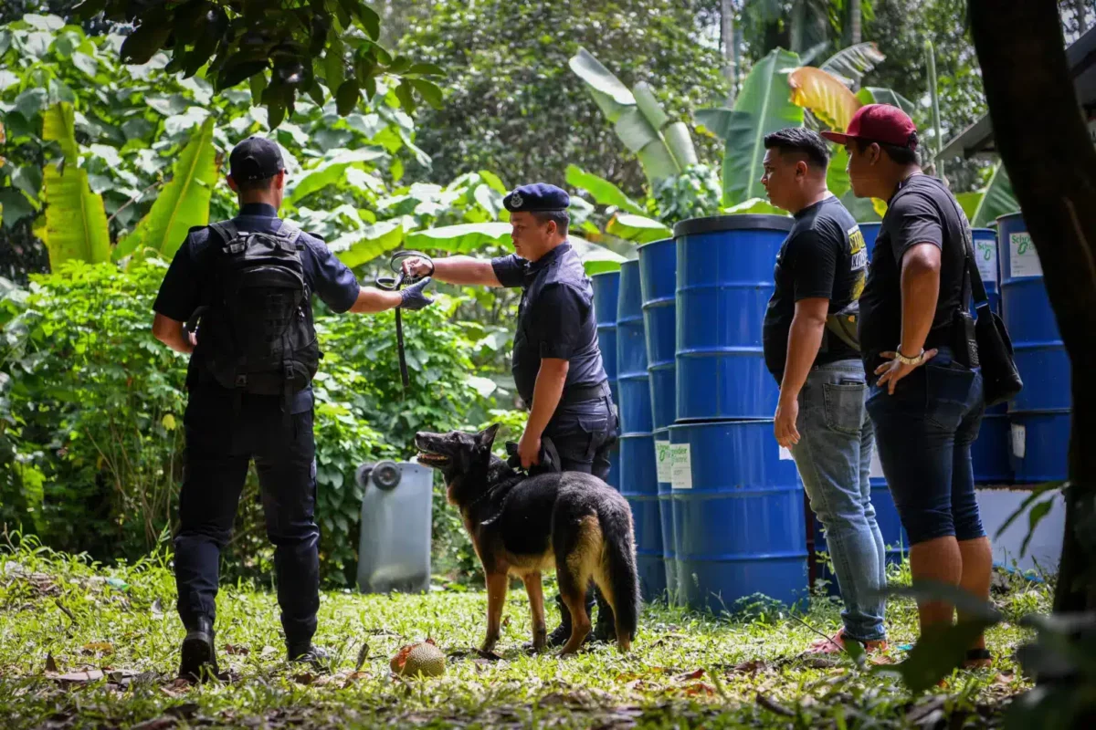 Police using tracker dogs Falco, Jimmy in investigation of Zayn Rayyan ...